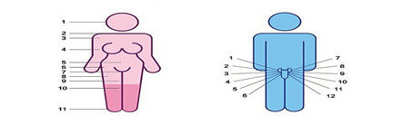 �Ƚ�����